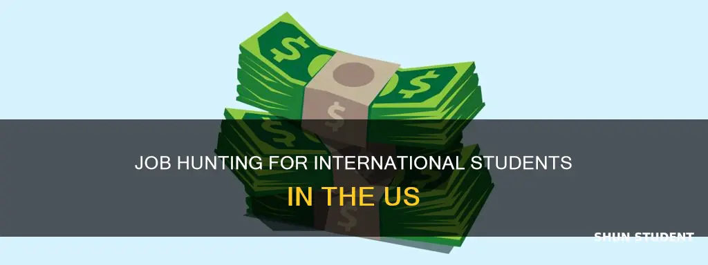where can international student search for work in united states