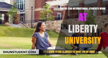 International Students' Employment Opportunities at Liberty University: Exploring Options