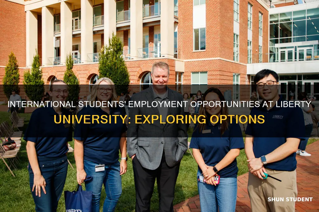 where can international students work at liberty university