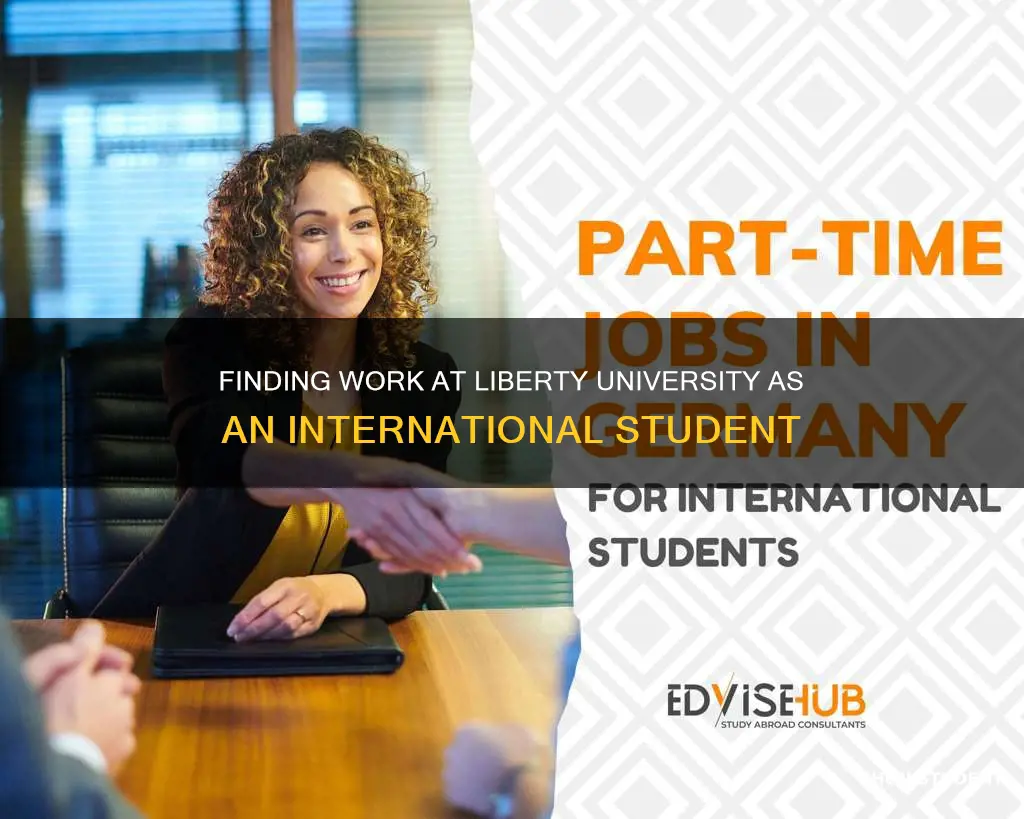 where can international students work at liberty university