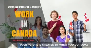 Explore Work Opportunities for International Students in Canada