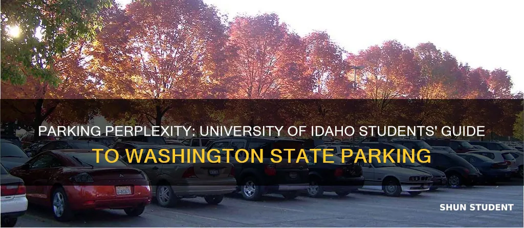 where can university of idaho students park at washington state