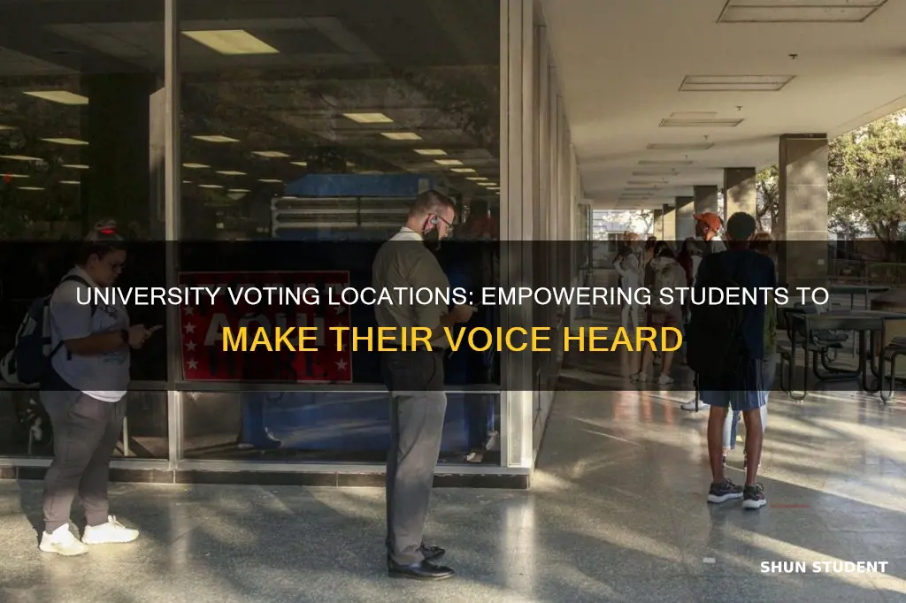 where can university students vote