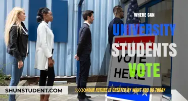 University Students: Where to Vote?