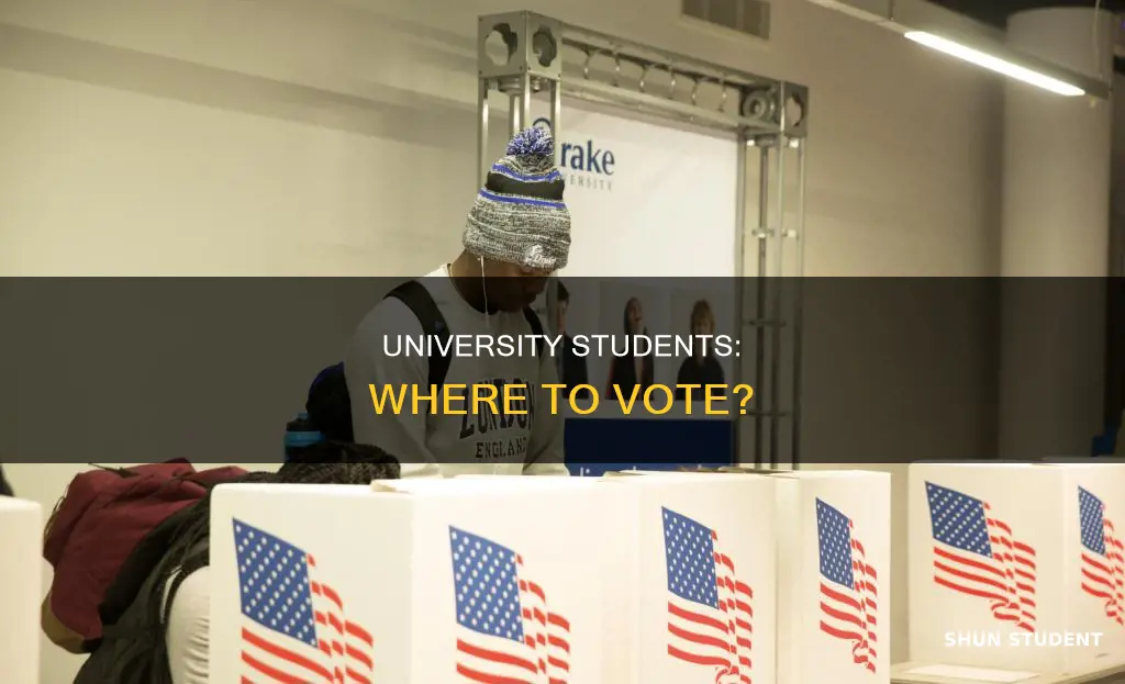 where can university students vote