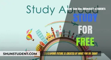 Study Abroad, Tuition-Free: Options for US Students