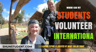Global Vet Volunteer Opportunities for Students