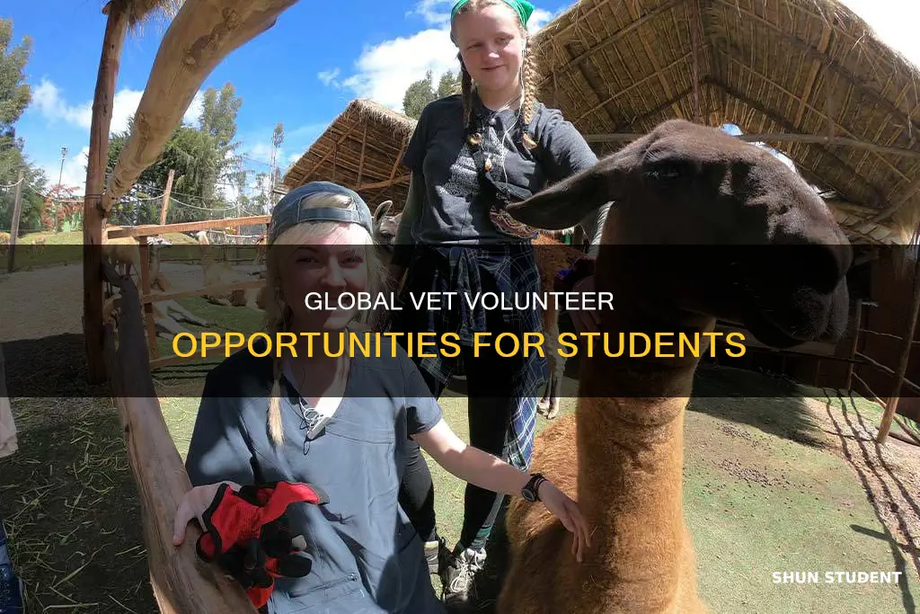 where can vet students volunteer internationally