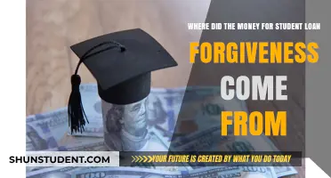 Uncovering the Source of Student Loan Forgiveness Funds