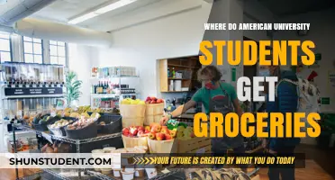 American University Students' Grocery Shopping Habits: A Guide to Local Stores