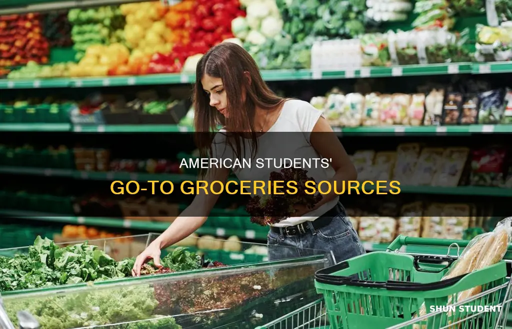 where do american university students get groceries