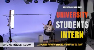 Exploring Internship Opportunities: Where American University Students Find Their Place