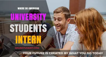 American Students' Internship Destinations Unveiled
