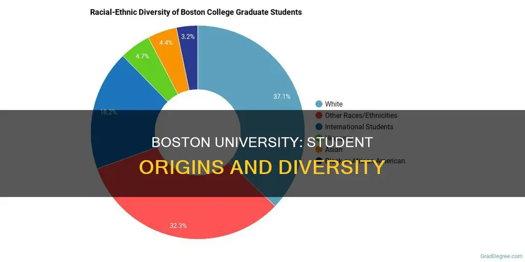 where do boston university students come from