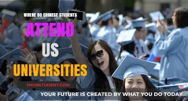 Chinese Students in the US: University Destinations