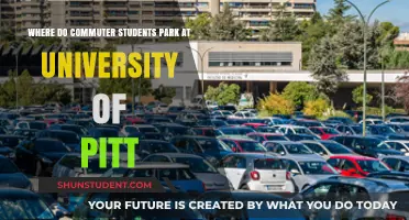 Pitt Parking: Navigating the Commuter Conundrum