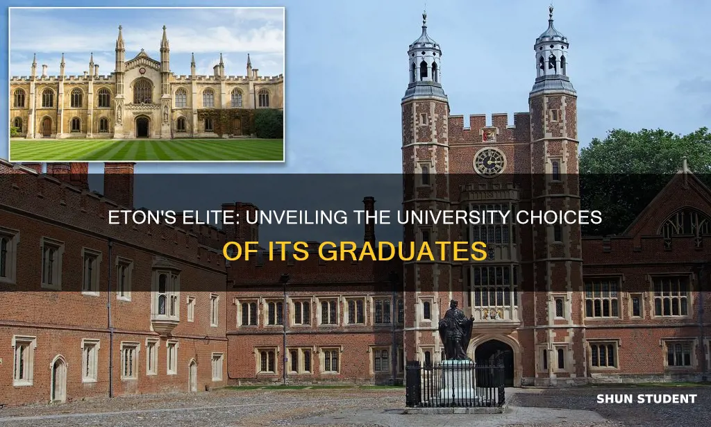 where do eton students go to university