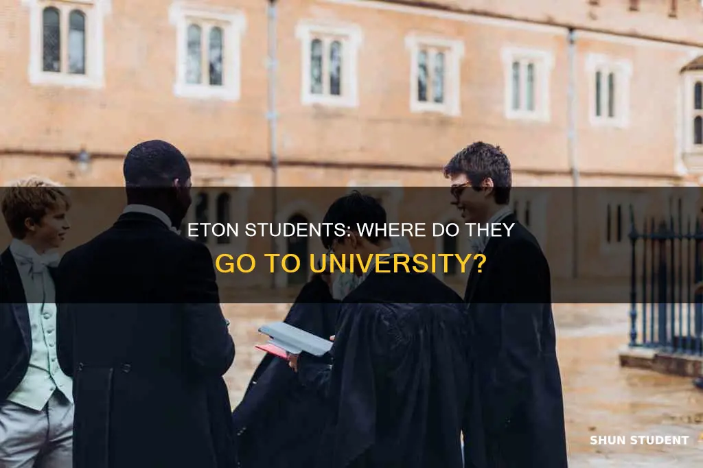 where do eton students go to university