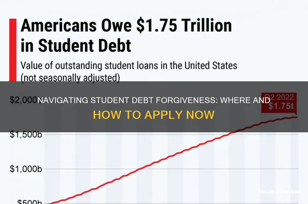 where do i apply for student debt forgiveness