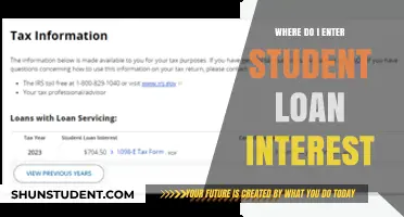 Where to Enter Student Loan Interest on Your Tax Return
