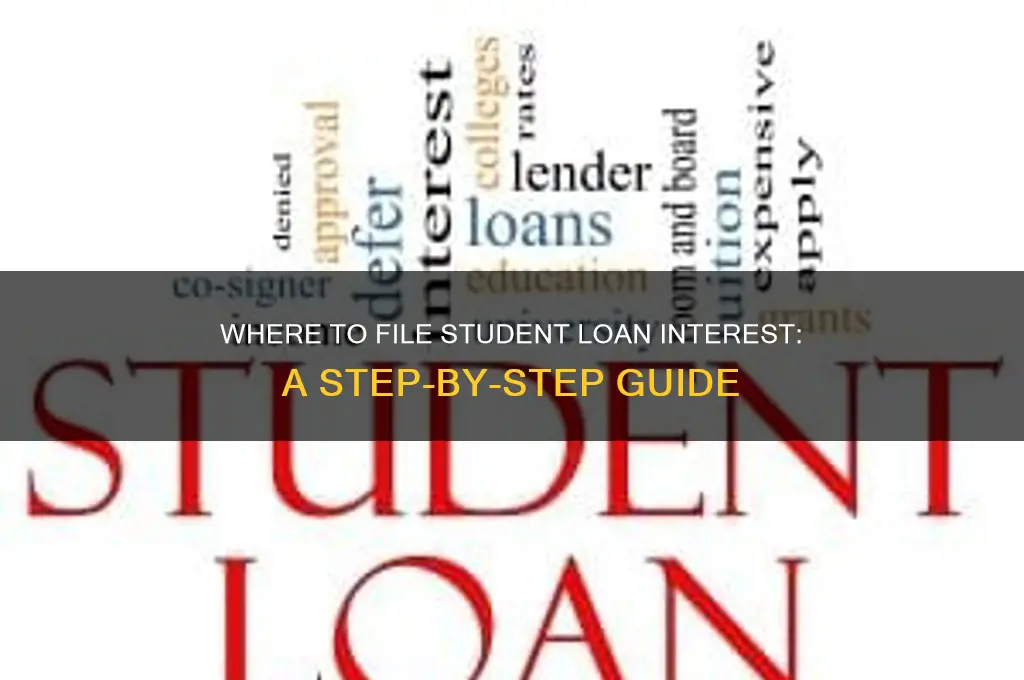 where do i file my student loan interest