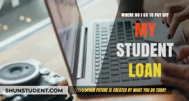 Student Loan Payment: Where to Start?