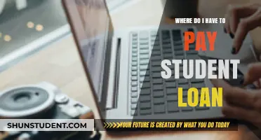Student Loan Payments: Where and When to Pay