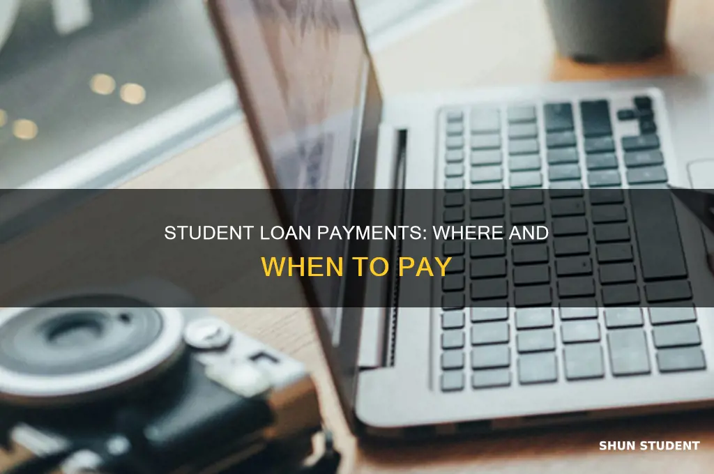 where do i have to pay student loan