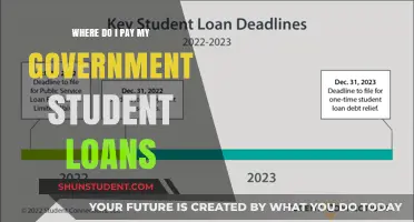 Student Loan Payment: Where and How to Pay