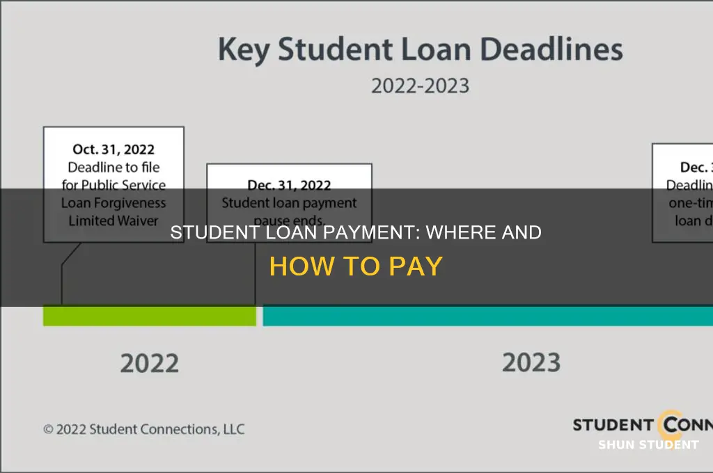 where do i pay my government student loans