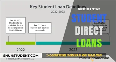 Student Direct Loans: Where and How to Pay