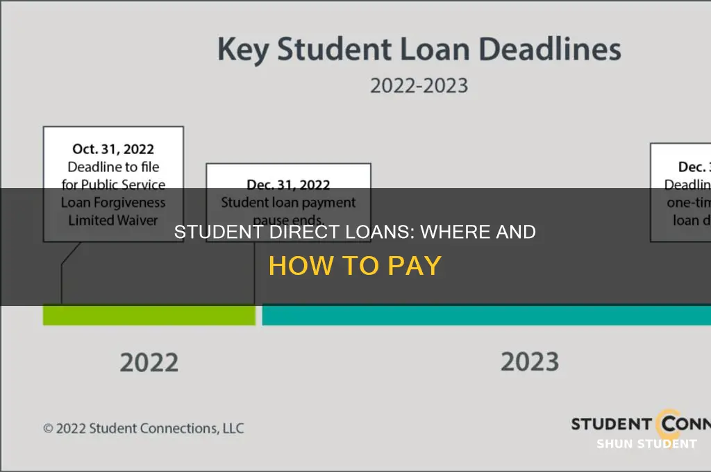 where do i pay my student direct loans