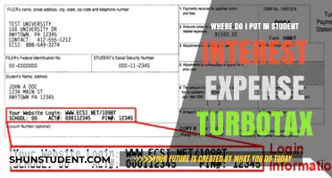 Where to Enter Student Loan Interest in TurboTax: A Guide