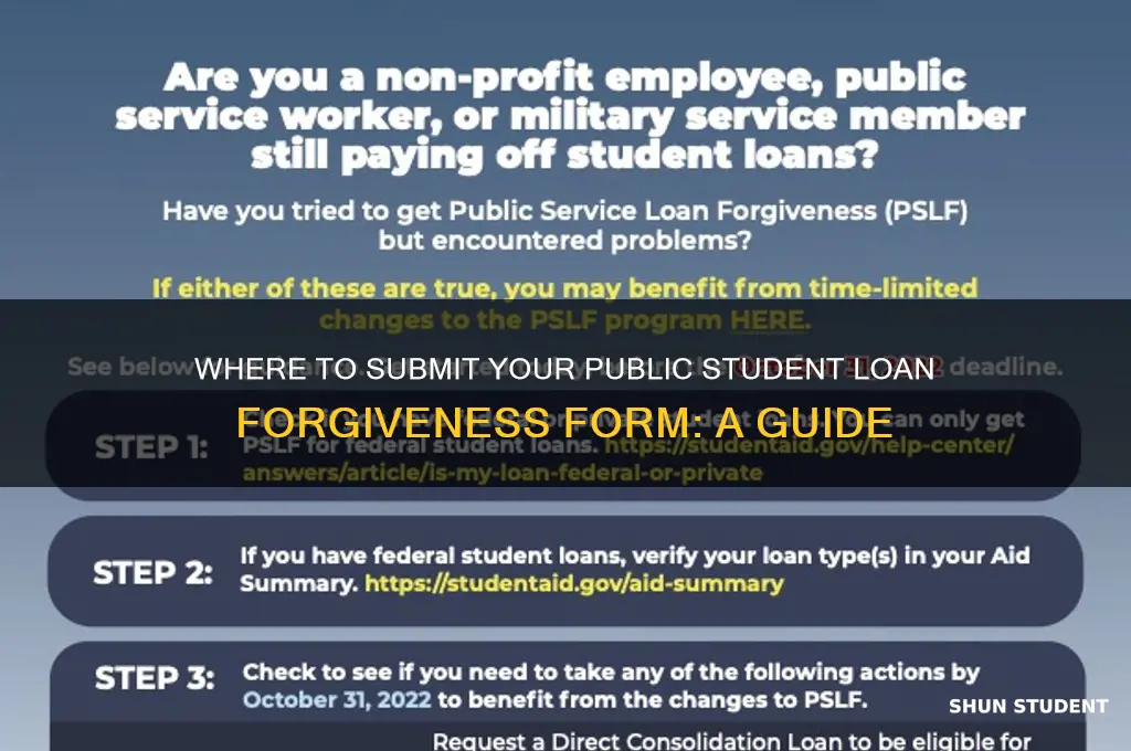 where do i submit my public student loan forgiveness form