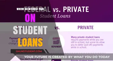 Understanding Where Your Student Loan Interest Payments Actually Go