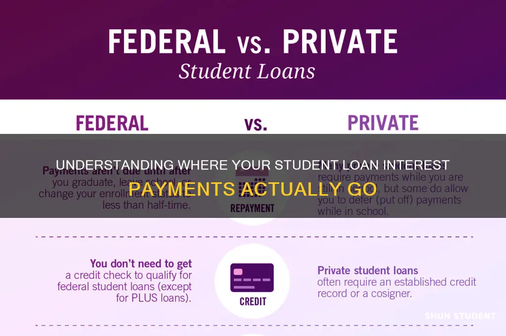 where do interest paid on student loans