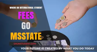 International Student Fees: Where Does the Money Go?
