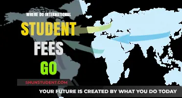 International Student Fees: Where Does the Money Go?