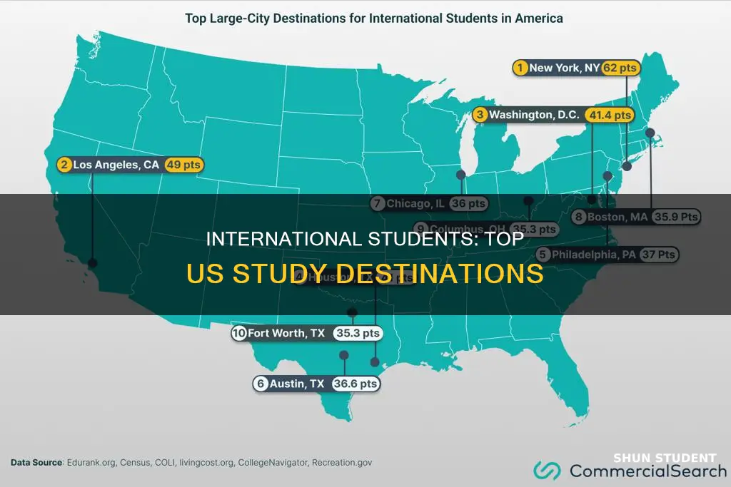 where do international students go to us
