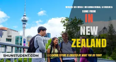 International Students in New Zealand: Where Do They Originate?