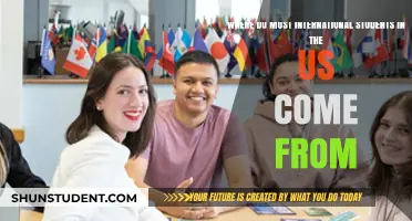 International Students in the US: Where Do They Originate?