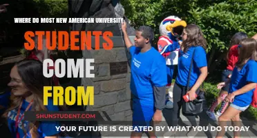 Unveiling the Origins: Where New American University Students Come From