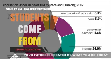 American Universities: Where Do Freshers Originate?