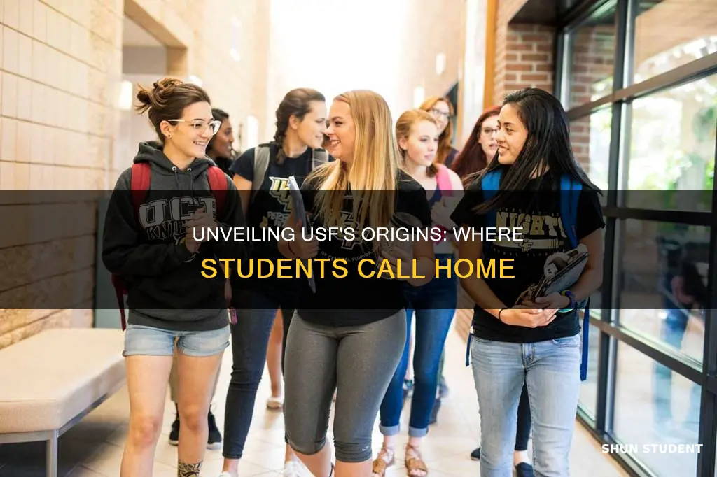 where do most of university of south florida students originate