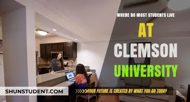 Housing Options: Where Clemson University Students Live