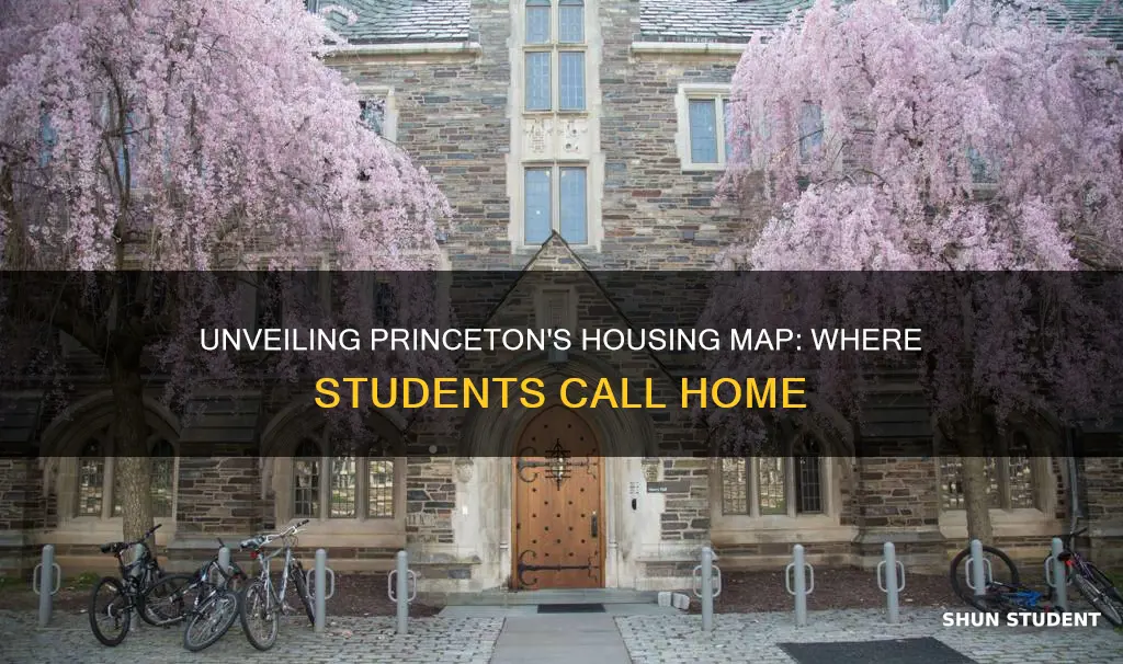 where do most students live at princeton university