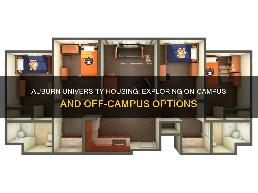 where do most students live when going to auburn university