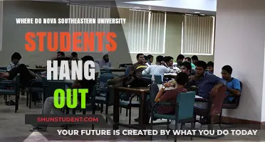 Exploring NSU Student Hangout Spots in South Florida