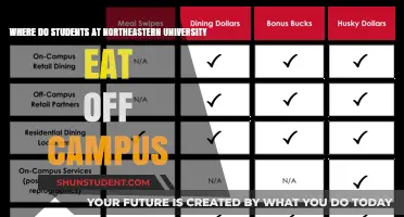 Exploring Off-Campus Eats Near Northeastern University