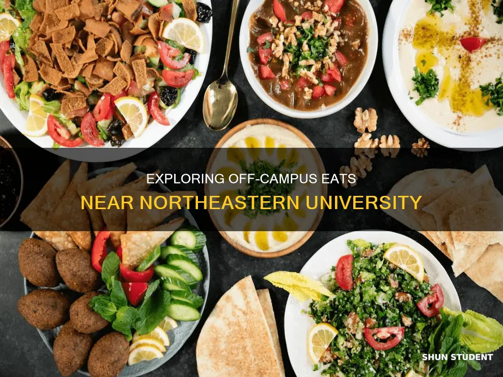 where do students at northeastern university eat off campus